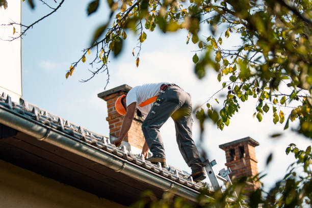 Best Roof Maintenance Services  in Chickamau, GA