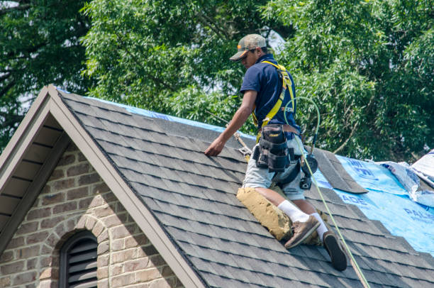 Roof Gutter Cleaning in Chickamauga, GA
